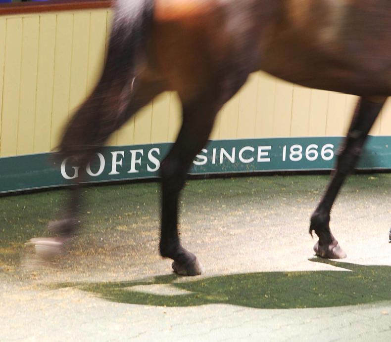€160,000 Getaway gelding tops opening session of Goffs Land Rover Sale