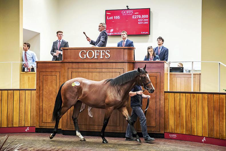 GOFFS UK PREMIER YEARLING SALE Sparkling trade produces records galore