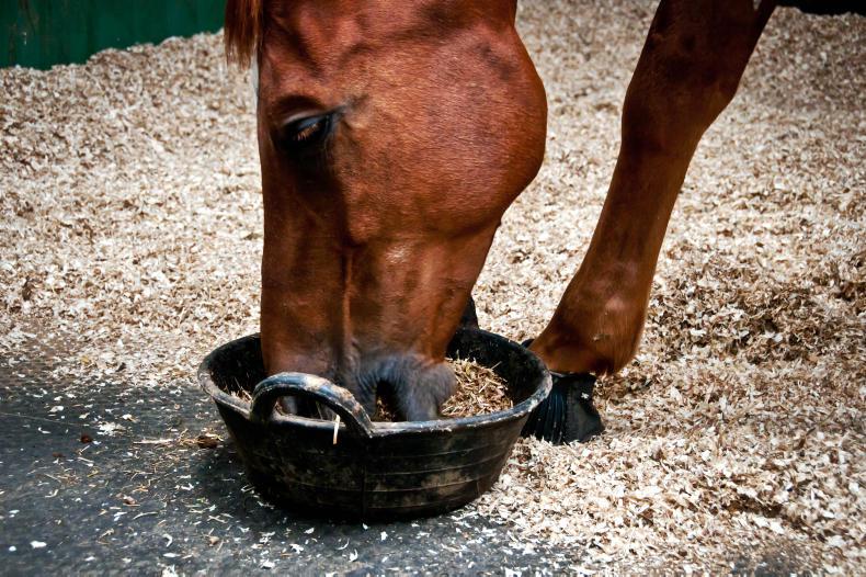 The 11 golden rules of feeding 20 September 2017 Free