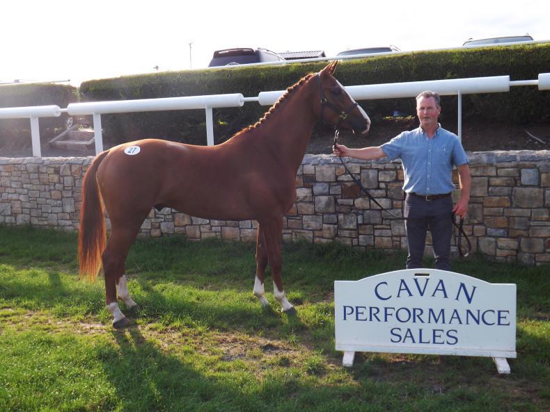 CAVAN SALES Sligo Candy Boy gelding fetches €21,000 24 August 2018 Premium