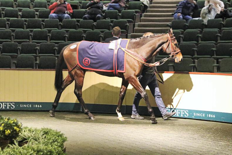 SALES Demand for form horses at Goffs 09 November 2018 Premium
