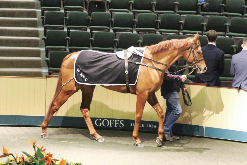 SALES Demand for form horses at Goffs 09 November 2018 Premium