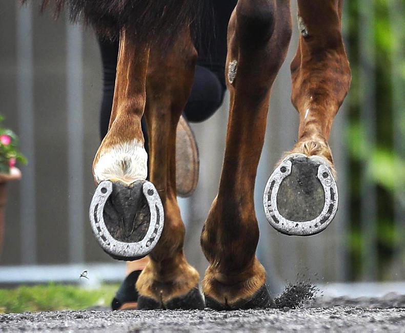 IRISHBRED SHOWJUMPING RESULTS, JULY 27th 2019 26 July 2019 Premium
