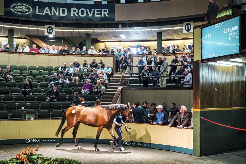 SALES Goffs Land Rover Sale starts on Wednesday 07 August 2020 Premium