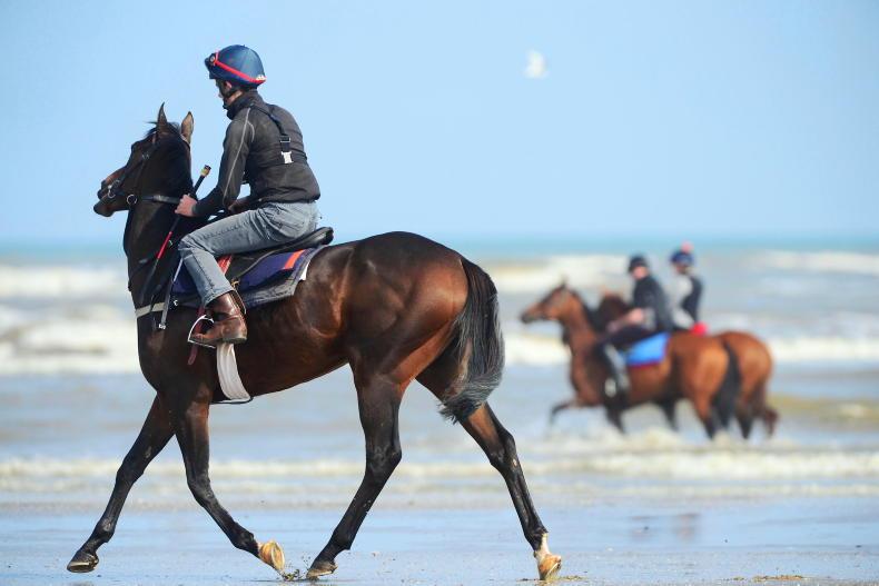 Beach riding tips and tricks for core strength and safety - Vimarsana News