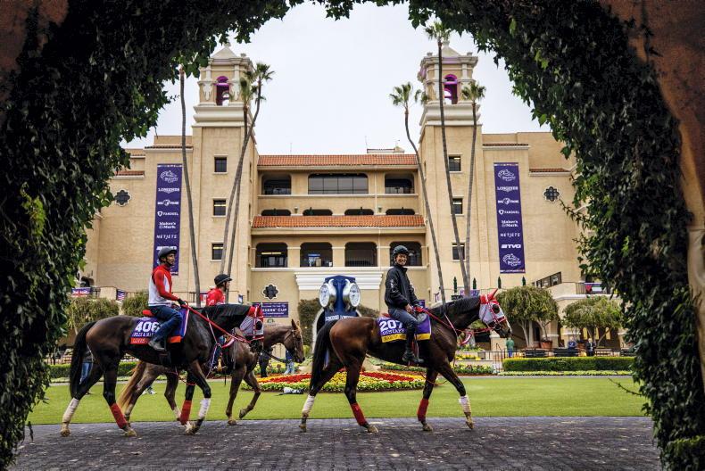 Bolshoi Ballet makes Breeders' Cup Turf field - Vimarsana News
