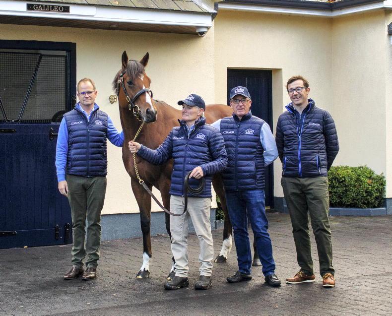 Wootton Bassett tops Coolmore list for 2022 - Vimarsana News