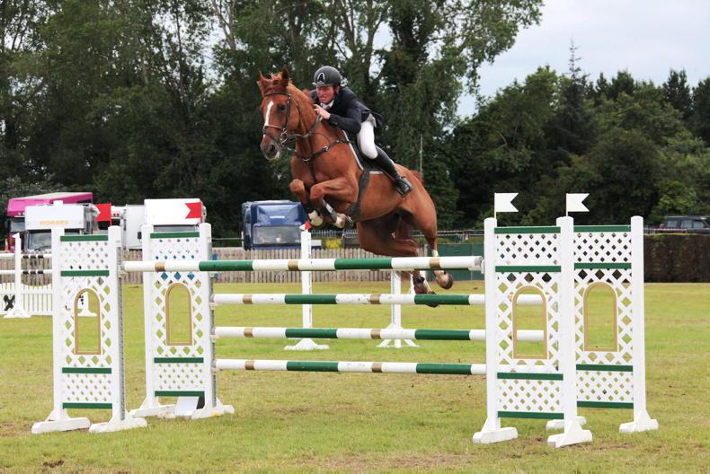 CAVAN SALES PREVIEW Proven performers, hunters, foals and Draughts