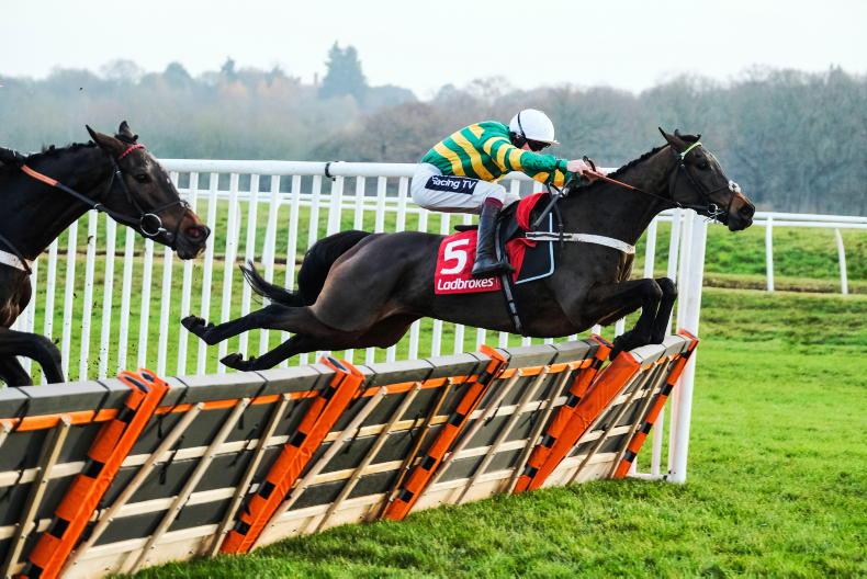 NEWS: Epatante in fine fettle for Fighting Fifth - Vimarsana News