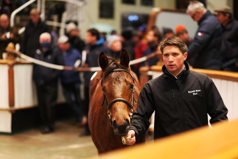 SALES: Godolphin outlast Coolmore to claim the sale gem - Vimarsana News
