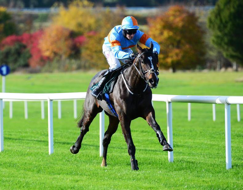 RACING CENTRAL: Cromwell excited for double Grade 1 challenge - Vimarsana News