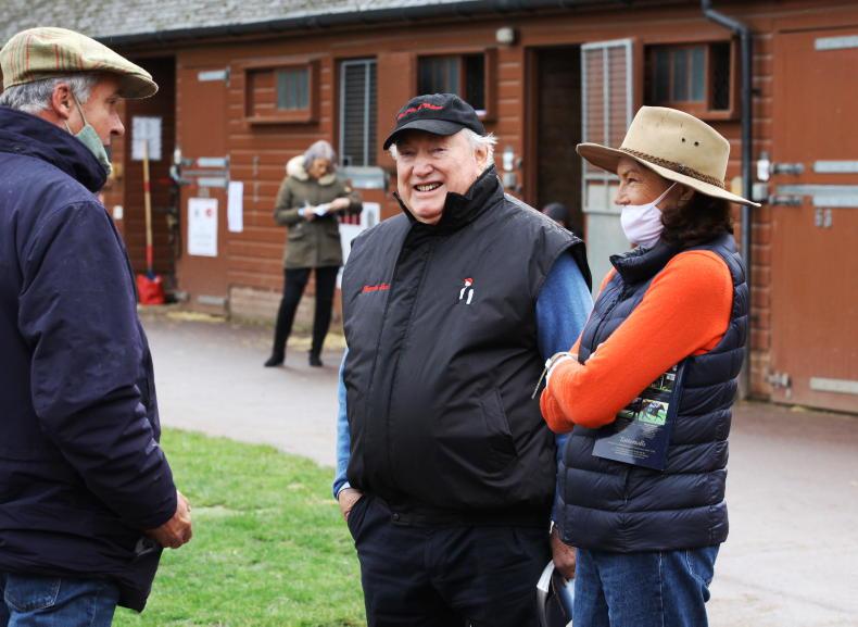 SALES: Sea The Stars fillies prove hot property - Vimarsana News