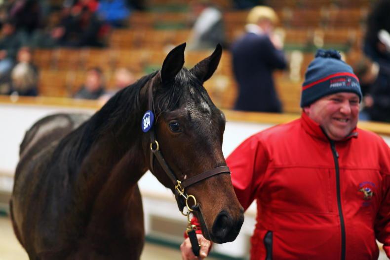 SALES: Irish double-up at 300,000gns - Vimarsana News