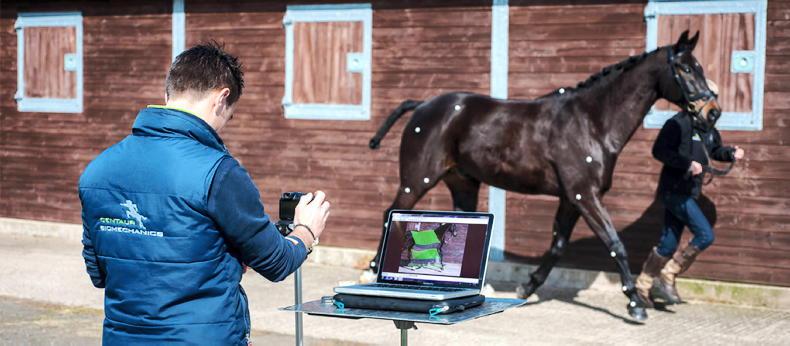 What can gait analyses do for your horse? - Vimarsana News