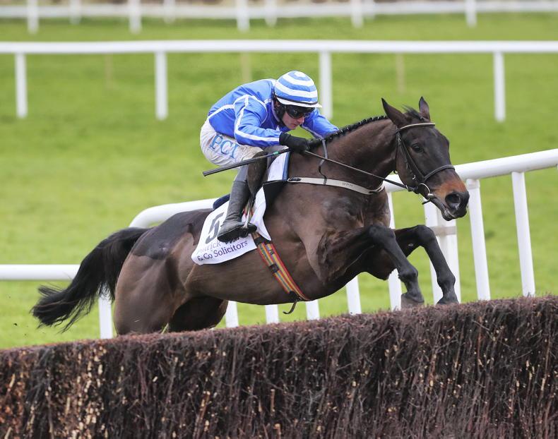 Exciting Energumene set to make his Way to Cork - Vimarsana News