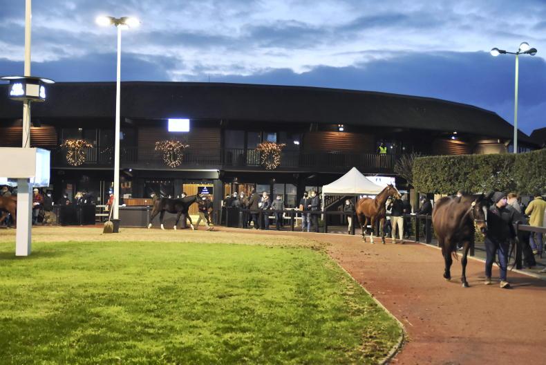 SALES: Arqana December Sale starts Saturday - Vimarsana News