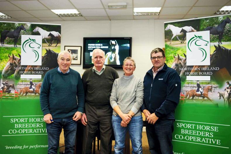 NEWS: NIHB launches foster mare and orphan foal scheme - Vimarsana News