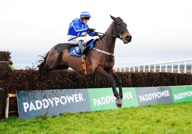 CORK SUNDAY: Mullins can continue excellent Hilly Way record with Energumene - Vimarsana News
