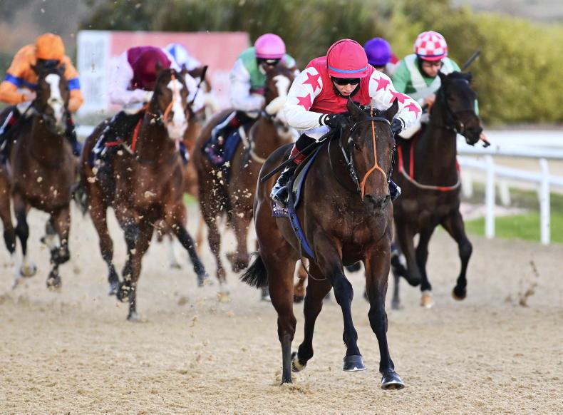 DUNDALK WEDNESDAY: Dominant display from Doitforandrew - Vimarsana News