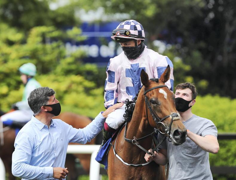 NEWS: Cheltenham dream for Aintree winner Sea Sessions - Vimarsana News