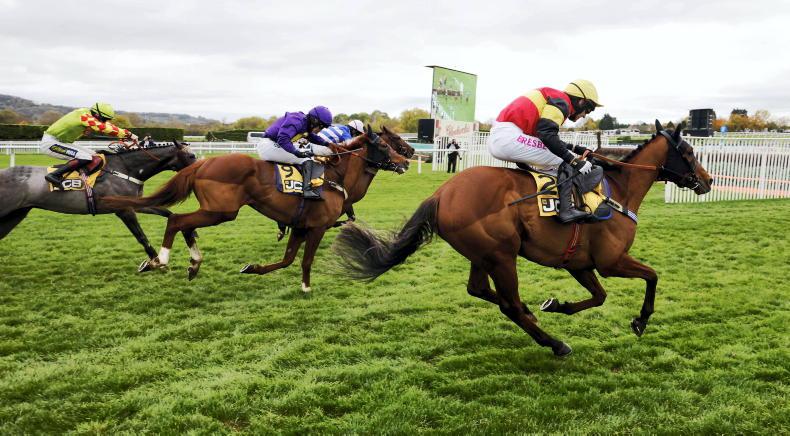 RORY DELARGY: Take this 18/1 Cheltenham specialist to go in again - Vimarsana News