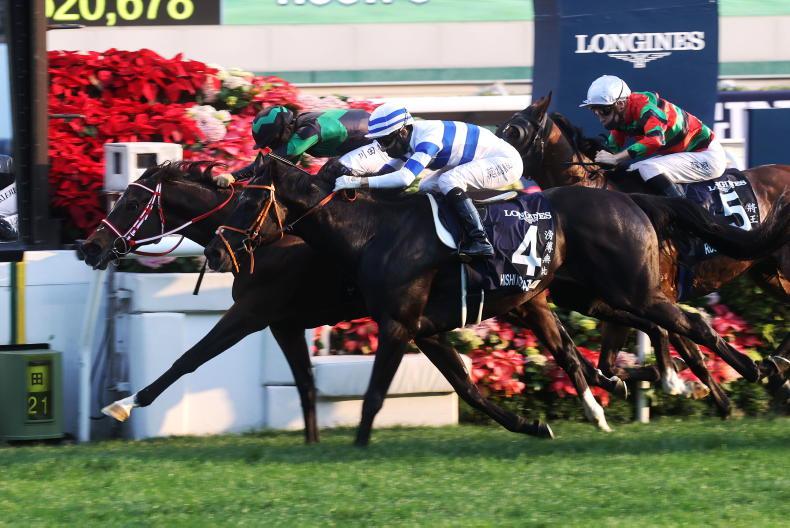 HONG KONG: Loves leaves in another thriller - Vimarsana News