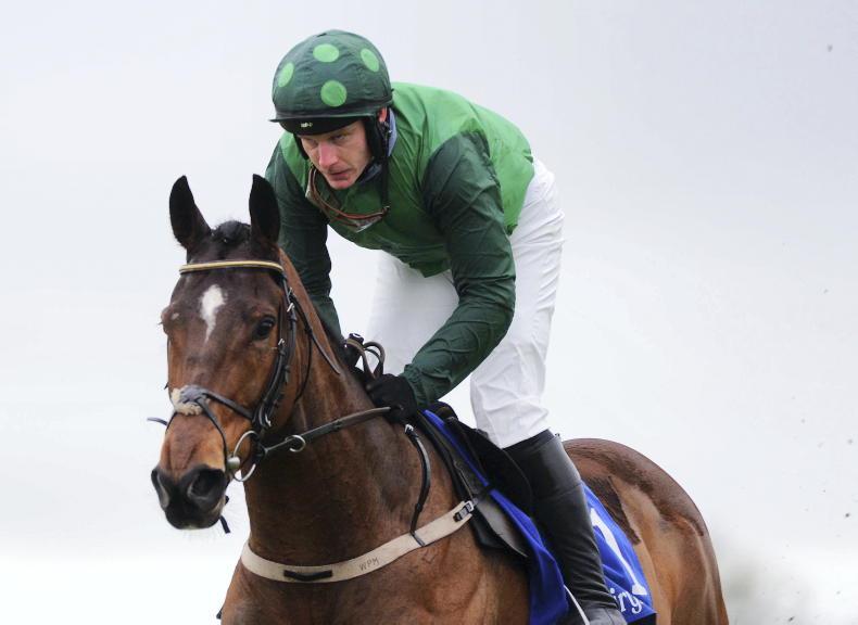 TIME WILL TELL: Blue lords it on chase debut at Fairyhouse - Vimarsana News