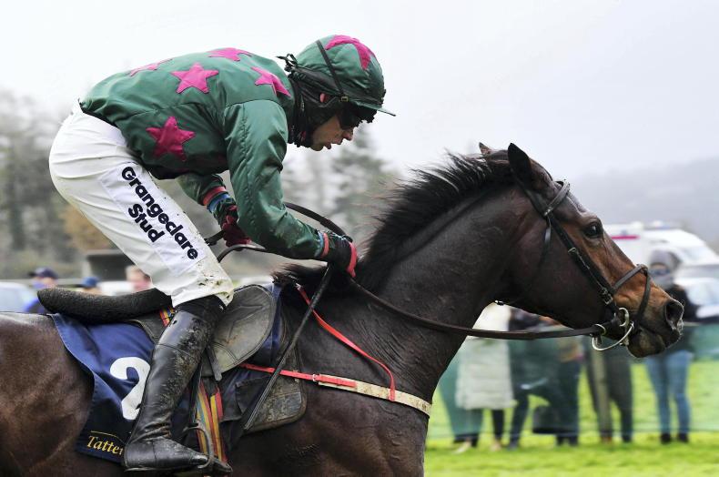 SALES: Top trainers snapping up PTP winners - Vimarsana News