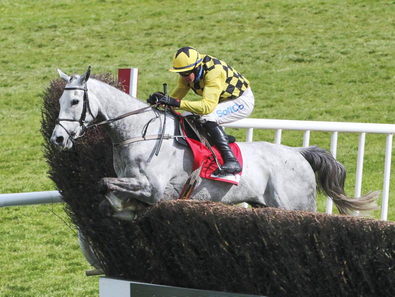 NEWS: Mullins has Asterion Forlonge on course for King George - Vimarsana News