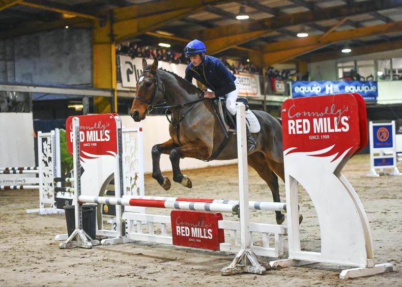 LETTER TO THE EDITOR: 'Wonderful mixing of our equine industries' - Vimarsana News