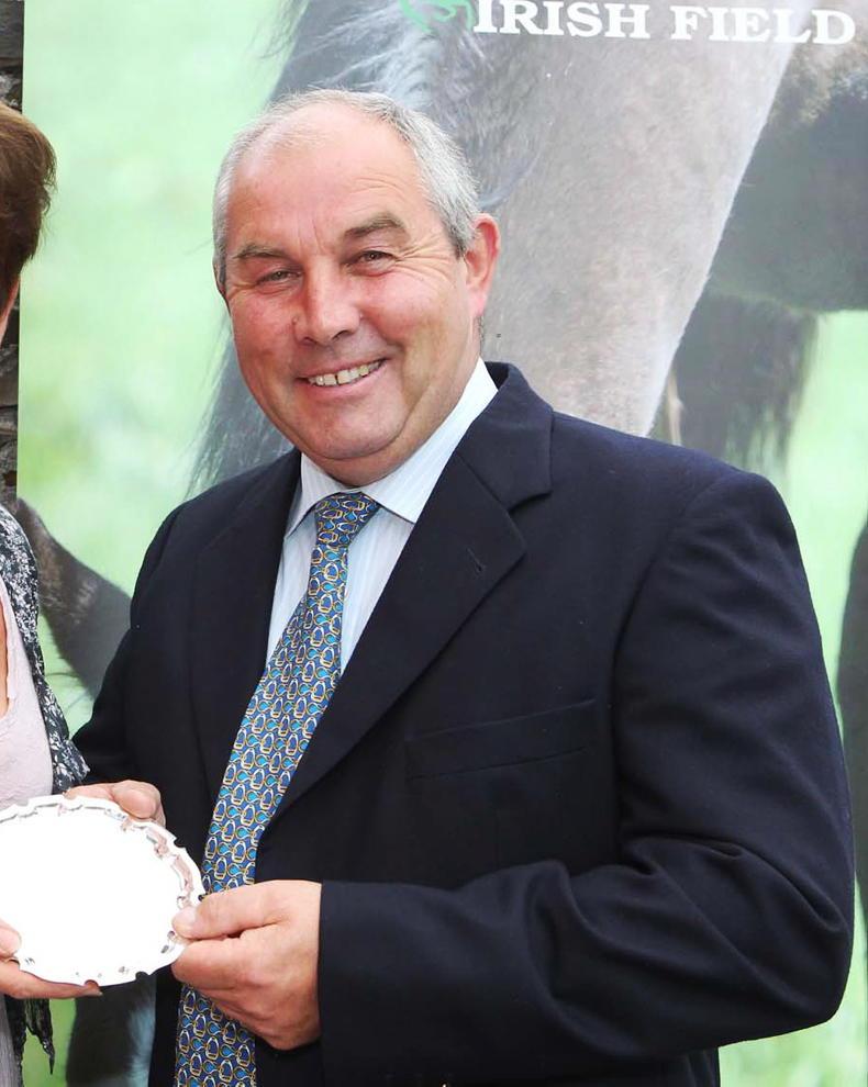 BREEDING INSIGHTS: FOR THE NOTEBOOK: Two bumper winners to watch - Vimarsana News