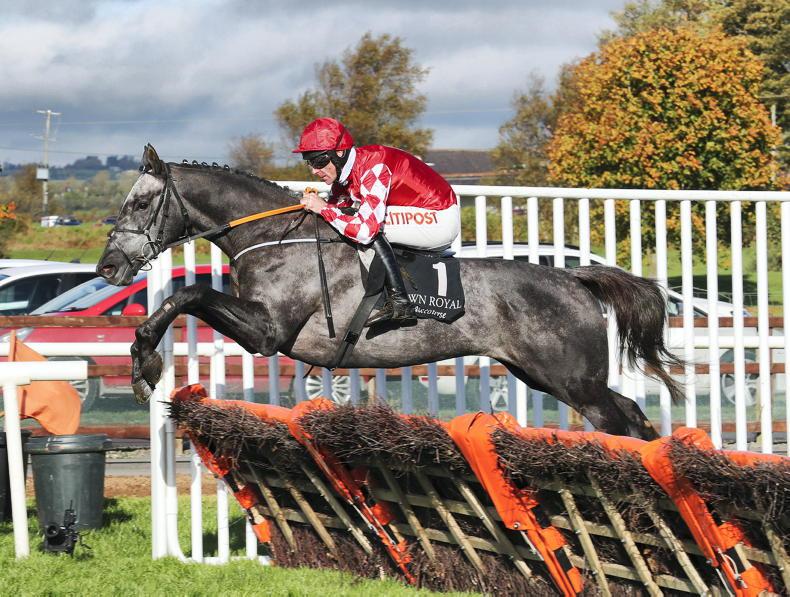 LEOPARDSTOWN SUNDAY: Fil Dor for three-in-a-row - Vimarsana News