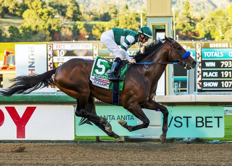 AMERICA: Flying Flightline a 'special horse' - Vimarsana News