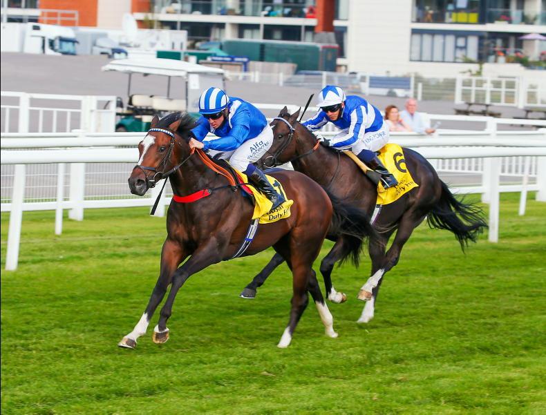 NEWS: Alkumait to stand at Castlefield Stud - Vimarsana News