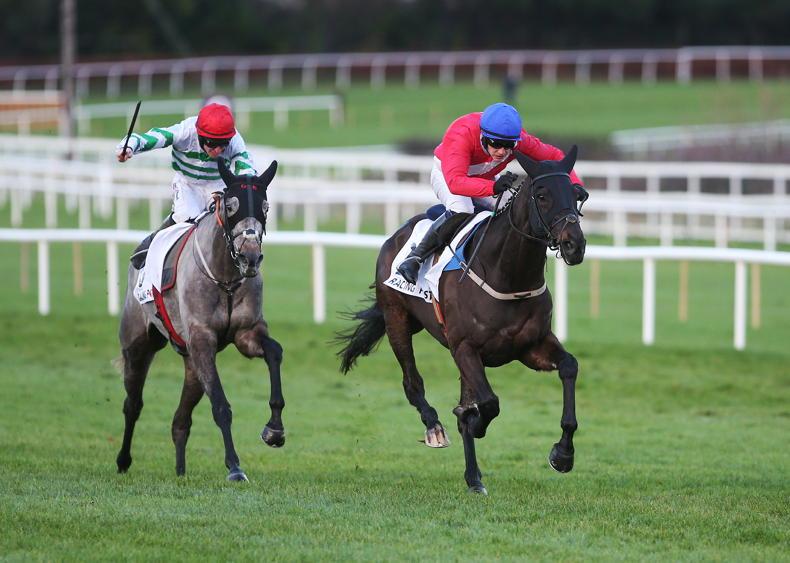 TIME WILL TELL: Ferny and Riviere set high Arkle standard - Vimarsana News