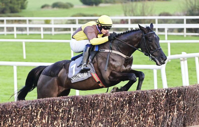TIME WILL TELL: Galopin seriously impressive in comparison with Savills - Vimarsana News