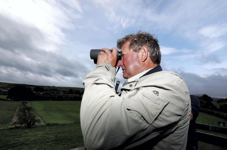 NEWS: Mark Johnston 'disappointed' by Jim Bolger claims - Vimarsana News