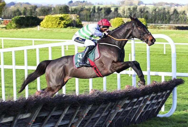 RACING CENTRAL: Star could emerge from fantastic four in Naas test - Vimarsana News