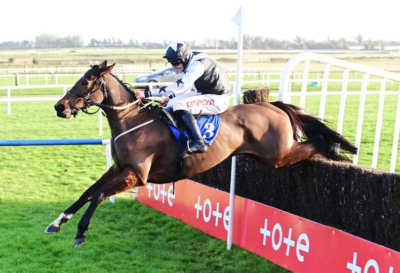 FAIRYHOUSE NEW YEAR'S DAY: Mount Ida keeps rising higher - Vimarsana News