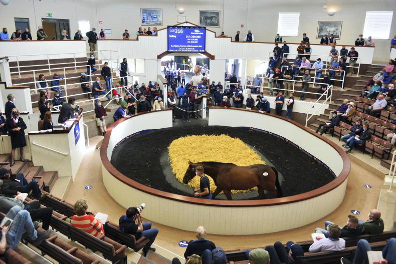 STALLION TRAIL: Where is the bloodstock industry headed in 2022? - Vimarsana News