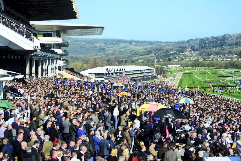 NEWS: So, who's ready to go back to Cheltenham? 07 January 2022 Free - Vimarsana News