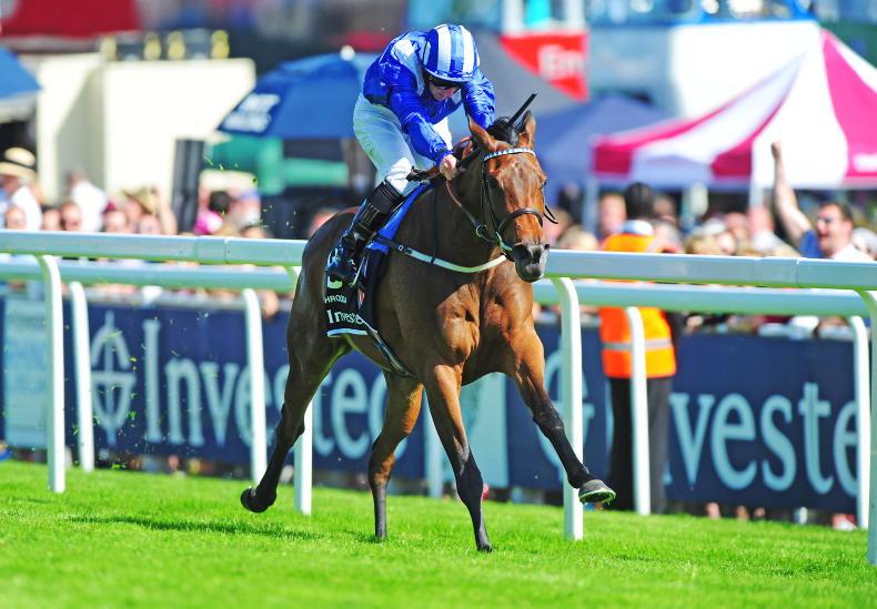 SALES: Shadwell selling another 60 horses - Vimarsana News
