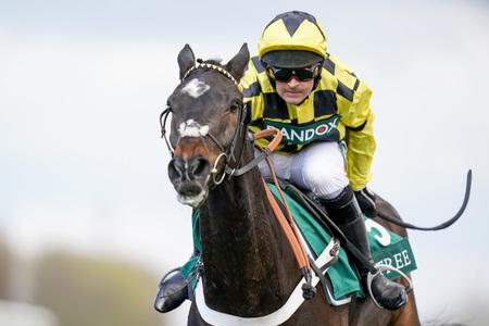 Shishkin confirmed for Energumene clash at Ascot - Vimarsana News