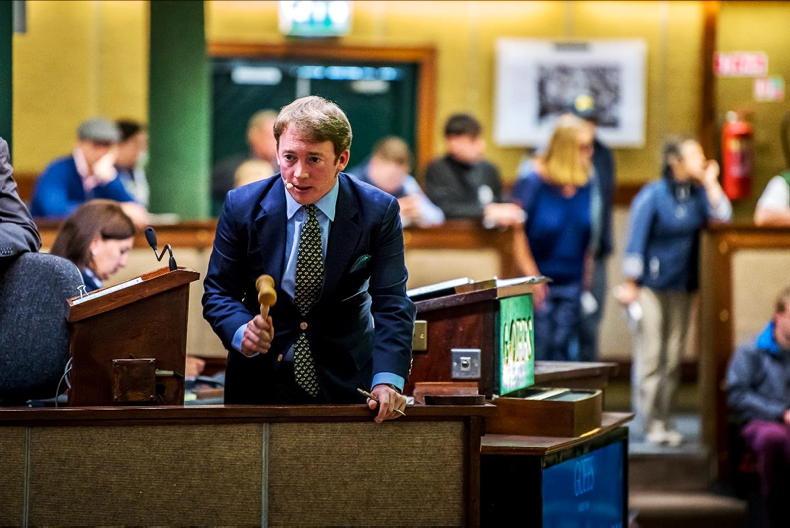 NEWS: Bernard Condren joins Goffs UK team - Vimarsana News