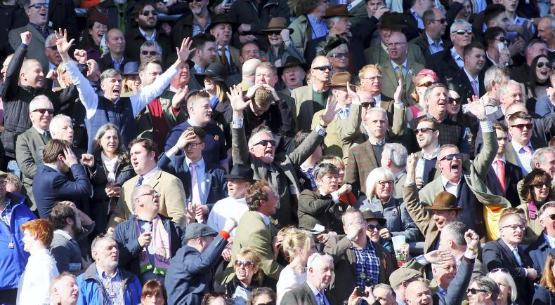 CHELTENHAM: Punting lessons from last year - Vimarsana News