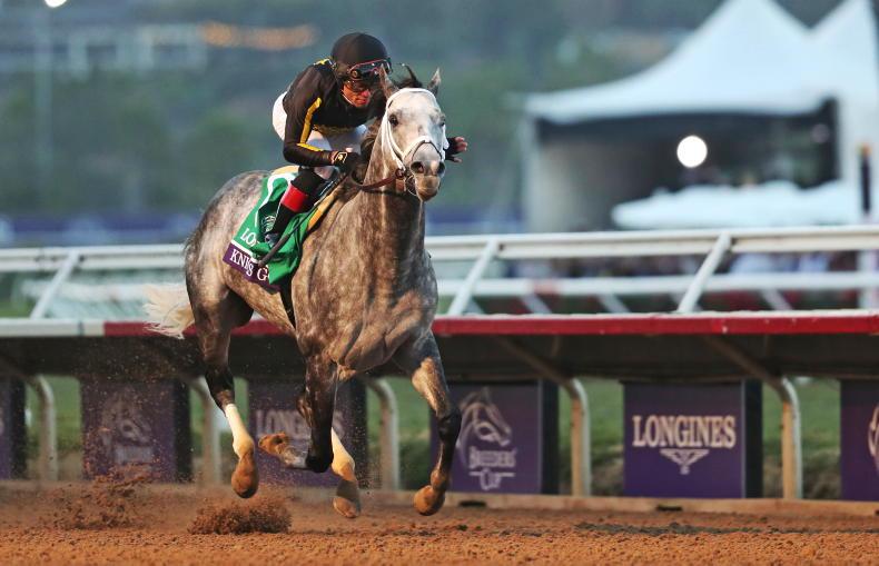 Knicks Go crowned World's Best Racehorse - Vimarsana News