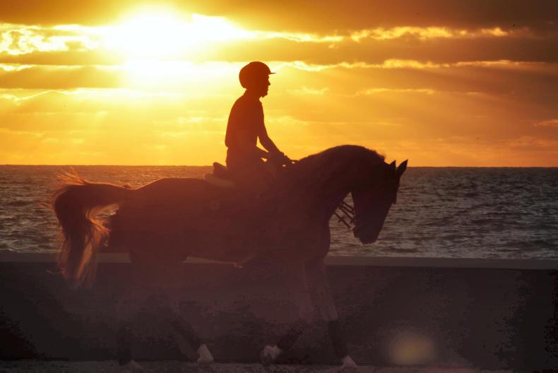 NEWS EBNI awards will celebrate Irish equestrian businesses 28 January