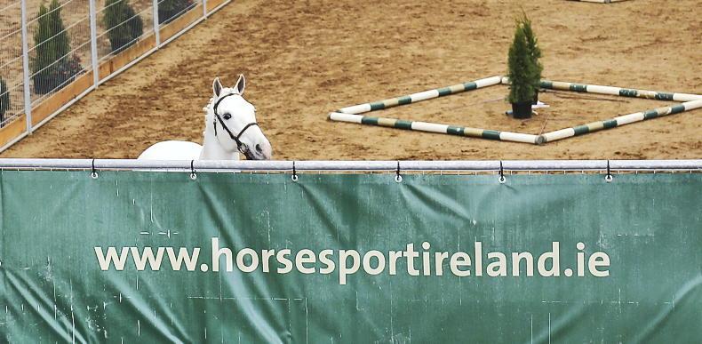 NEWS: Applications open for stallion selections - Vimarsana News
