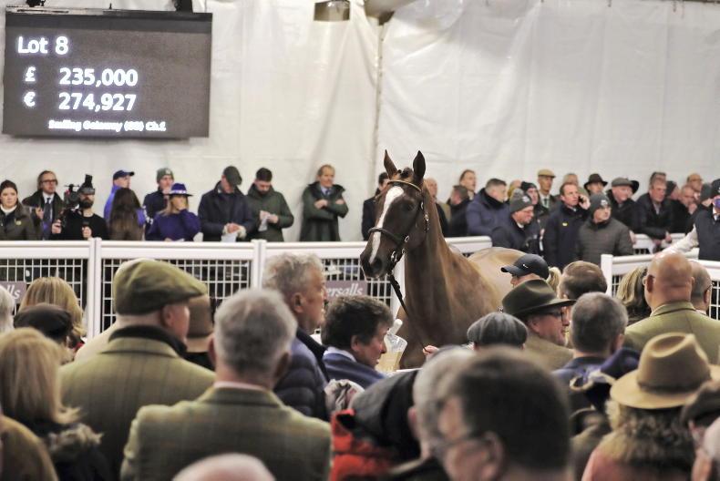 SALES: Pied Piper team spend £175,000 on PTP winner - Vimarsana News