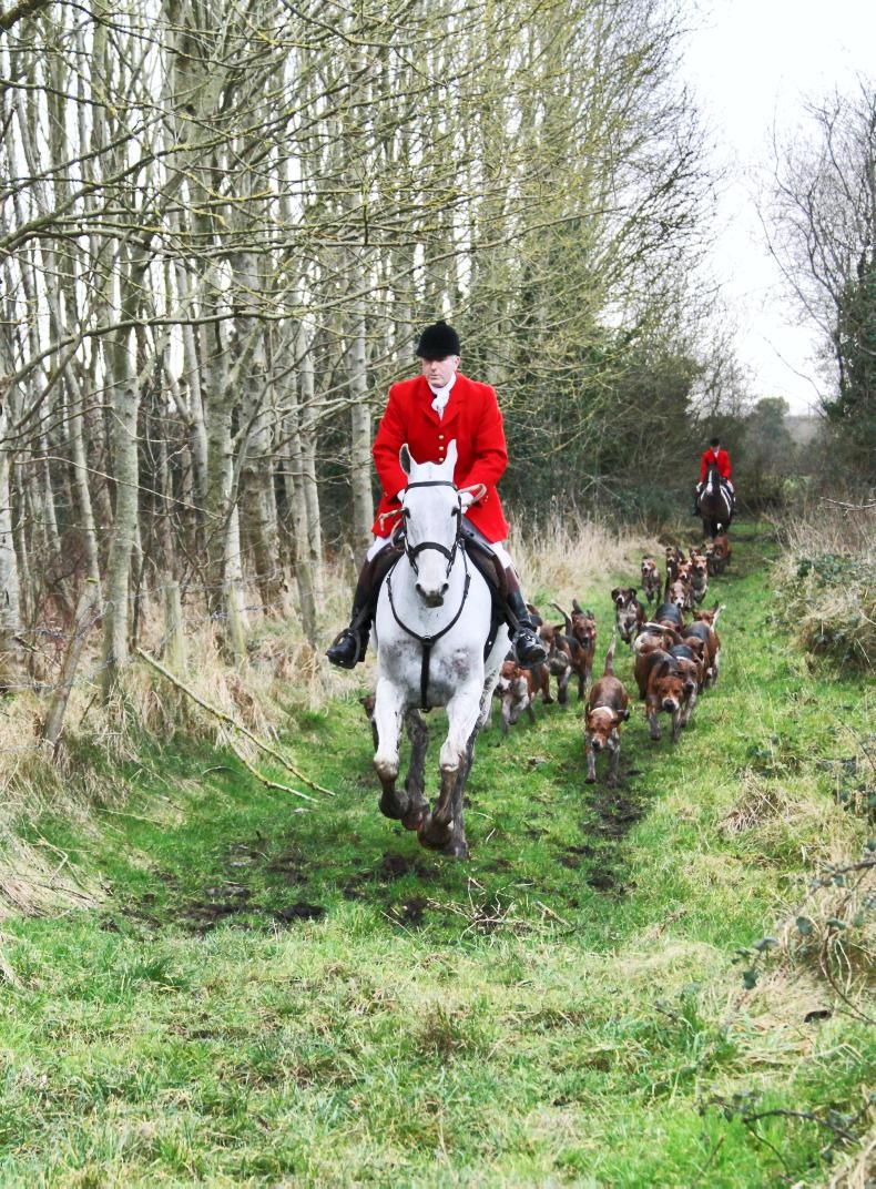 HUNTING: Crossing Laois country with gusto - Vimarsana News